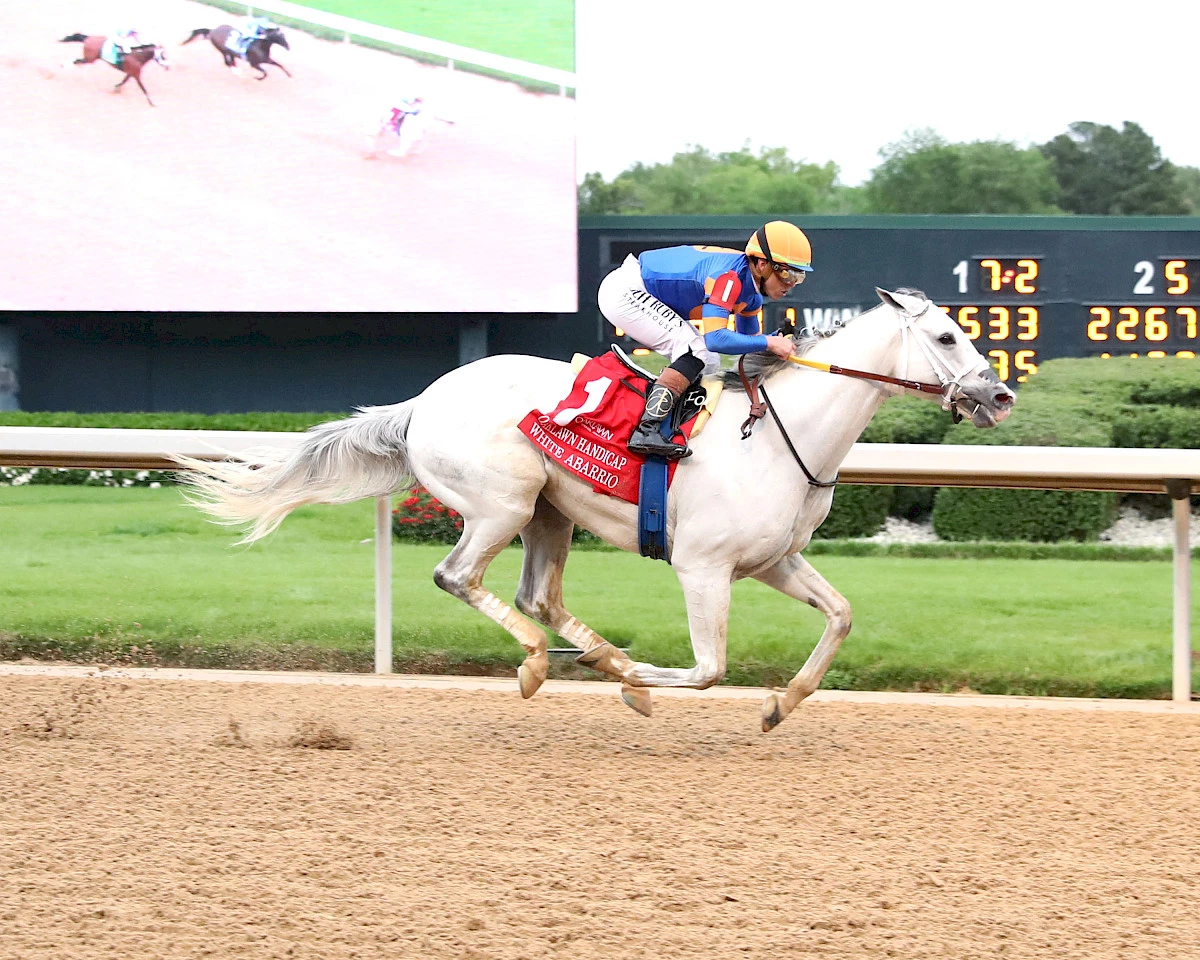 Sensational Saudi Cup: Forever Young Edges Romantic Warrior