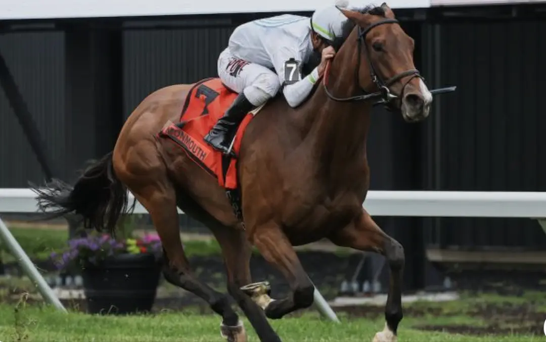 Sensational Saudi Cup: Forever Young Edges Romantic Warrior