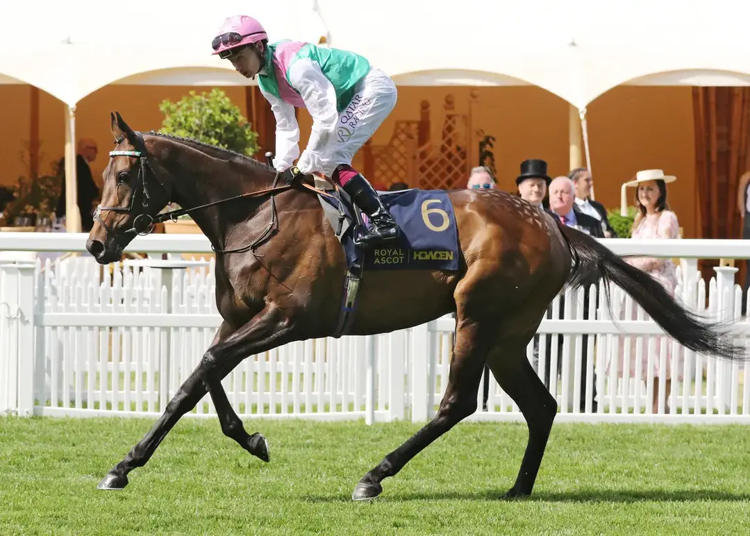 Sensational Saudi Cup: Forever Young Edges Romantic Warrior