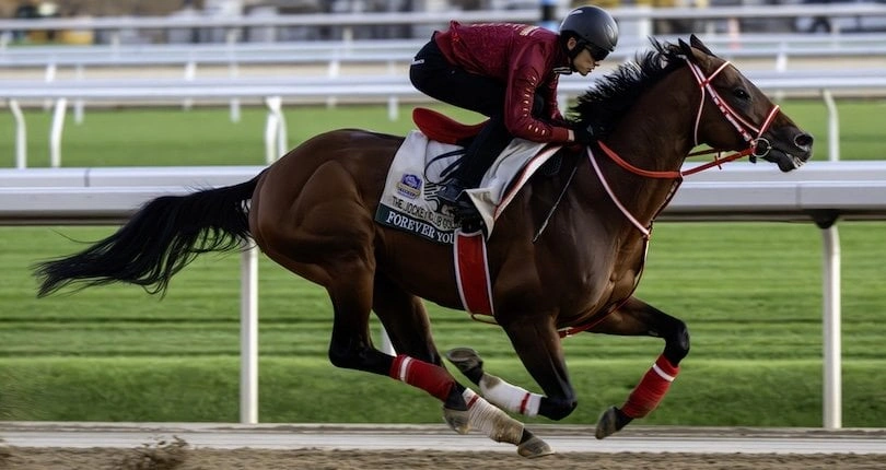 Sensational Saudi Cup: Forever Young Edges Romantic Warrior