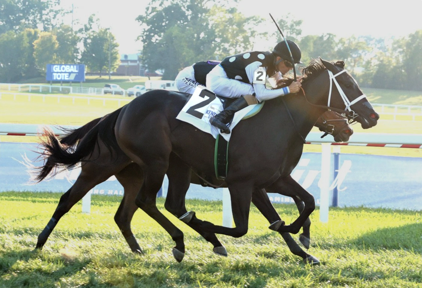 Sensational Saudi Cup: Forever Young Edges Romantic Warrior