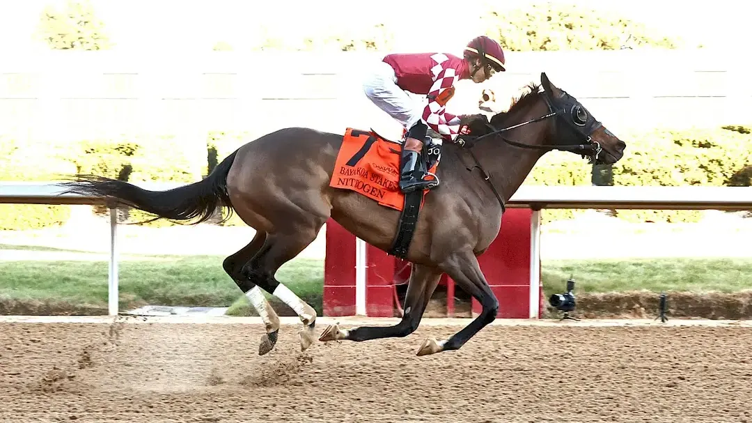 Sensational Saudi Cup: Forever Young Edges Romantic Warrior