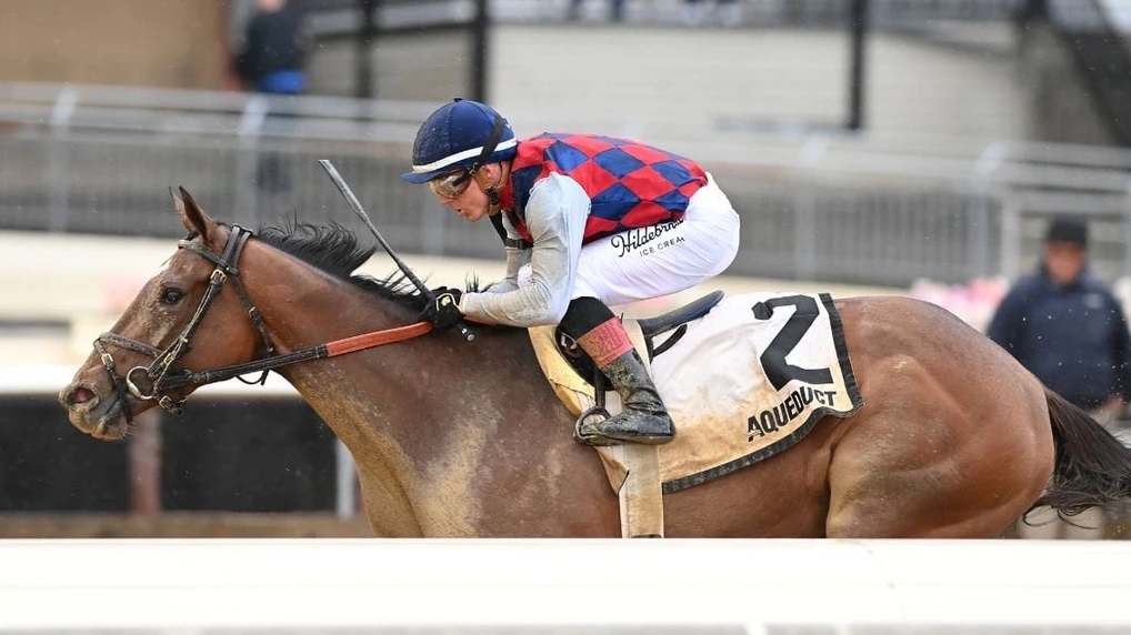 Sensational Saudi Cup: Forever Young Edges Romantic Warrior