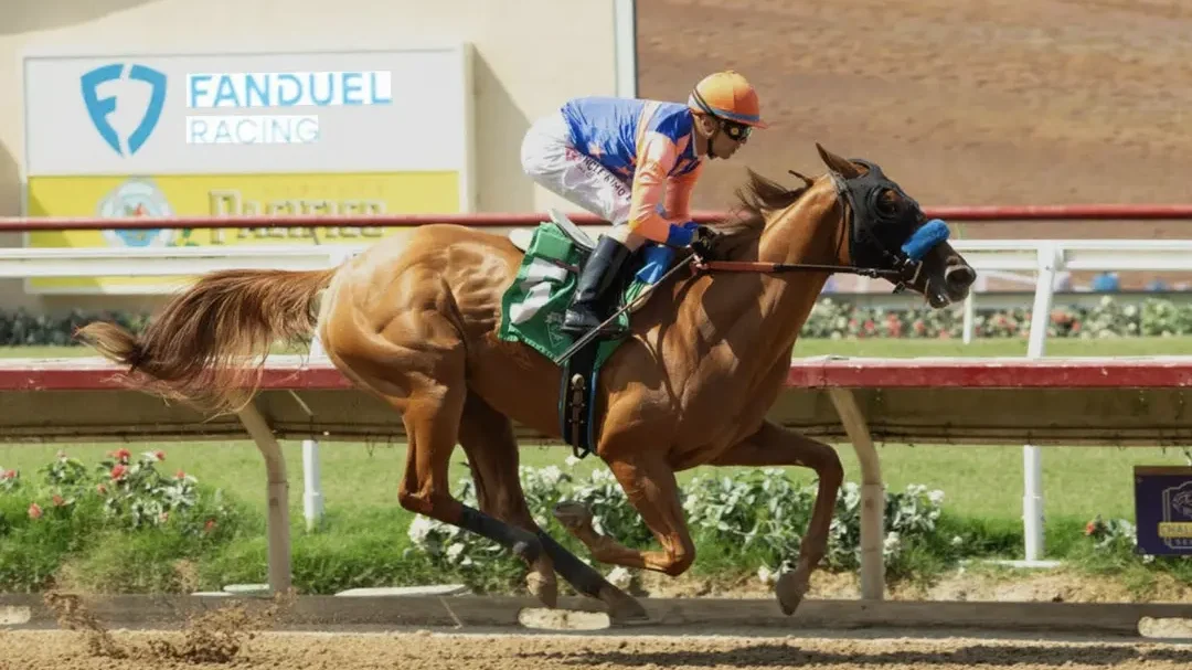 Sensational Saudi Cup: Forever Young Edges Romantic Warrior