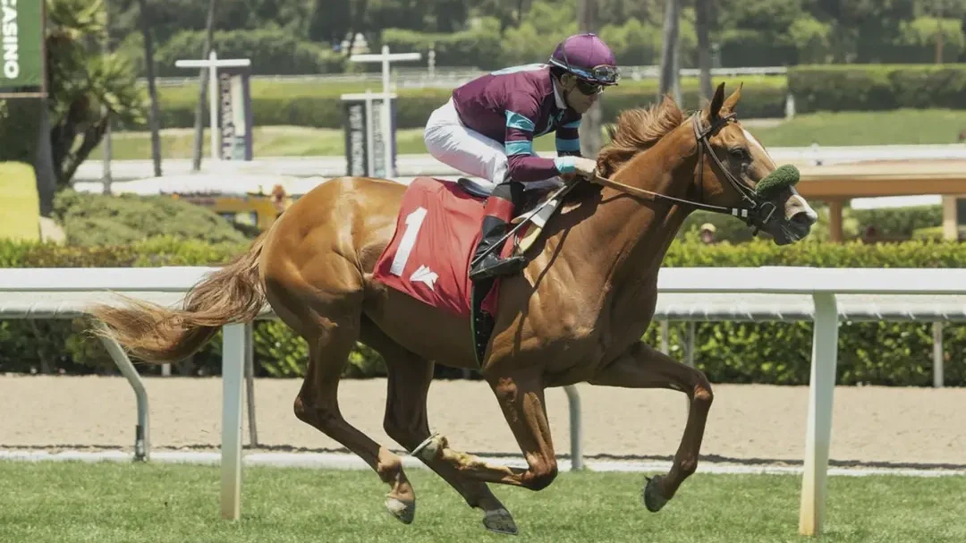 Sensational Saudi Cup: Forever Young Edges Romantic Warrior
