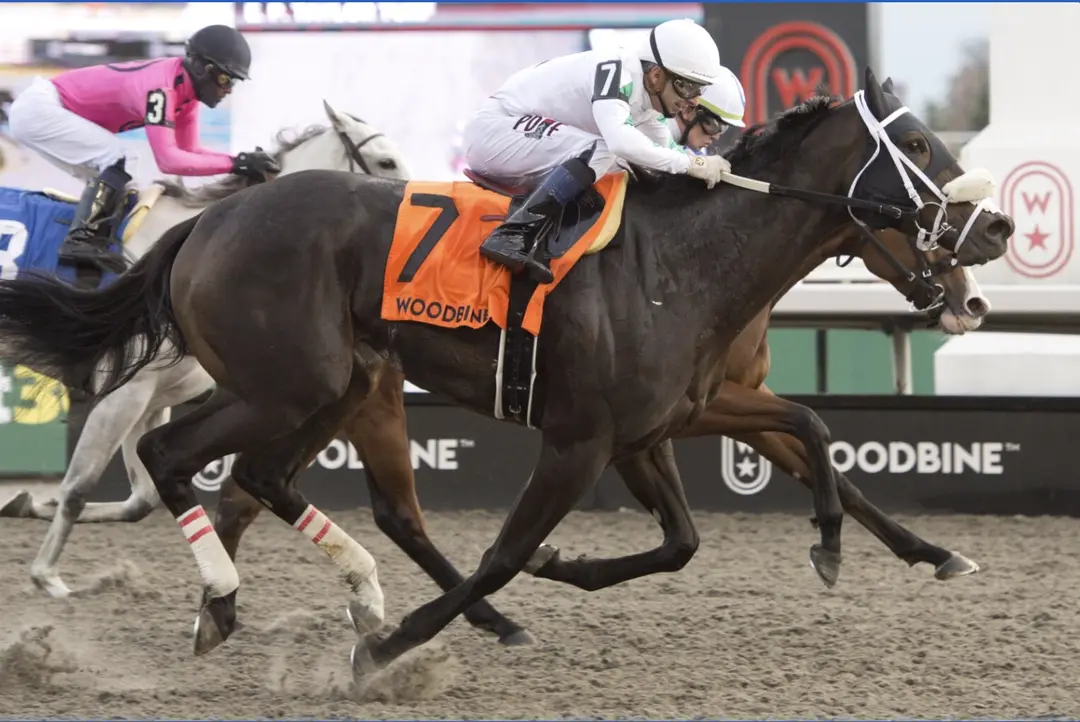 Sensational Saudi Cup: Forever Young Edges Romantic Warrior