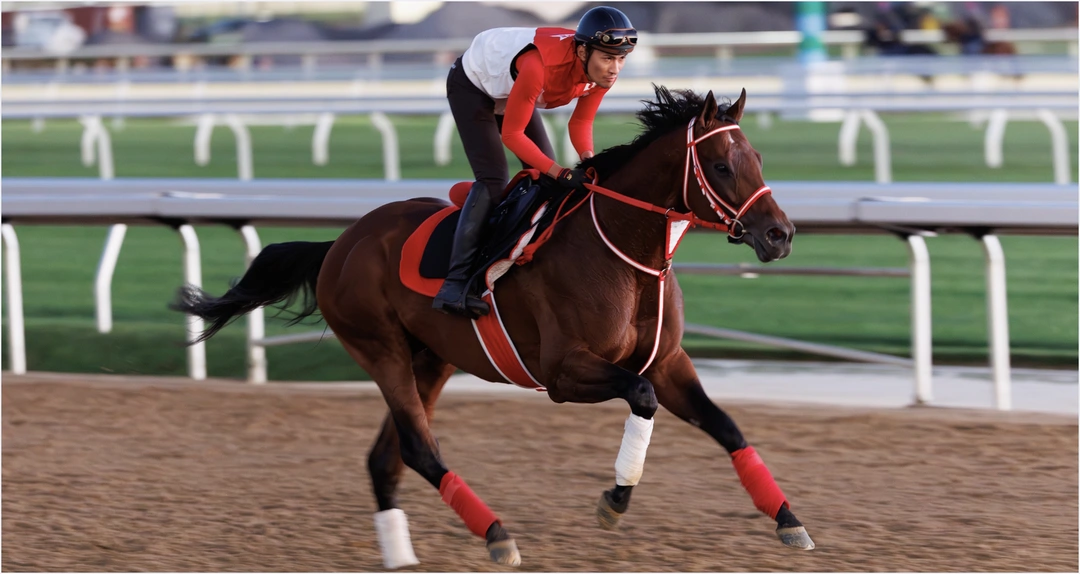 Sensational Saudi Cup: Forever Young Edges Romantic Warrior