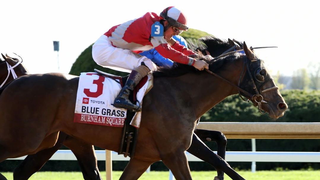 Sensational Saudi Cup: Forever Young Edges Romantic Warrior