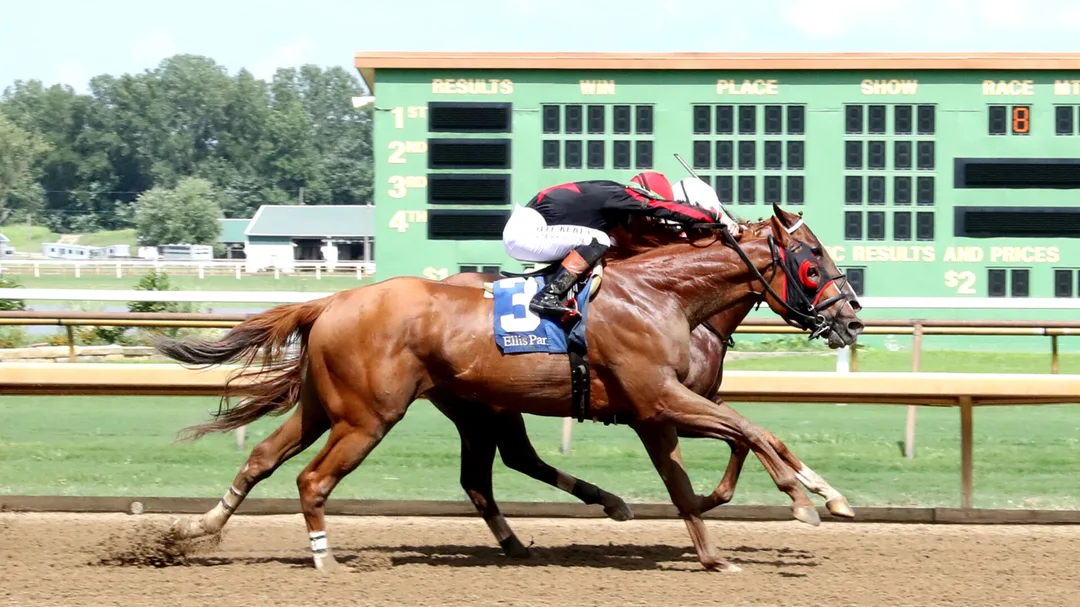Sensational Saudi Cup: Forever Young Edges Romantic Warrior