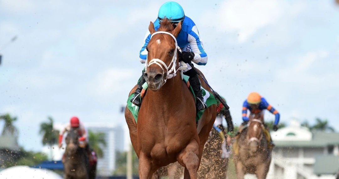 Sensational Saudi Cup: Forever Young Edges Romantic Warrior