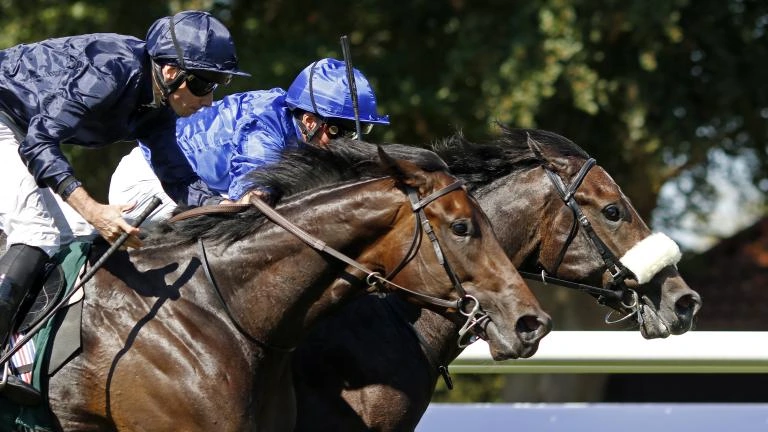 Sensational Saudi Cup: Forever Young Edges Romantic Warrior