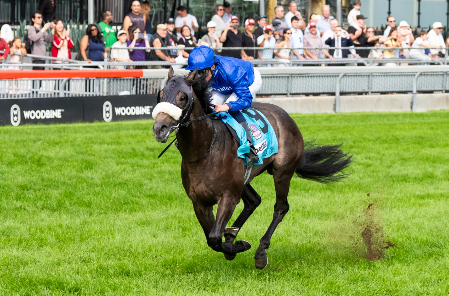 Sensational Saudi Cup: Forever Young Edges Romantic Warrior
