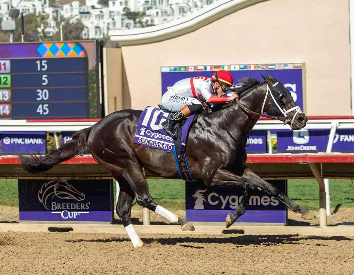 Sensational Saudi Cup: Forever Young Edges Romantic Warrior