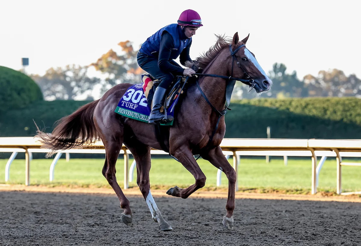 Sensational Saudi Cup: Forever Young Edges Romantic Warrior