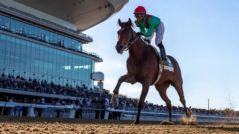Sensational Saudi Cup: Forever Young Edges Romantic Warrior