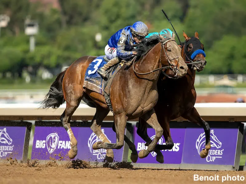 Sensational Saudi Cup: Forever Young Edges Romantic Warrior