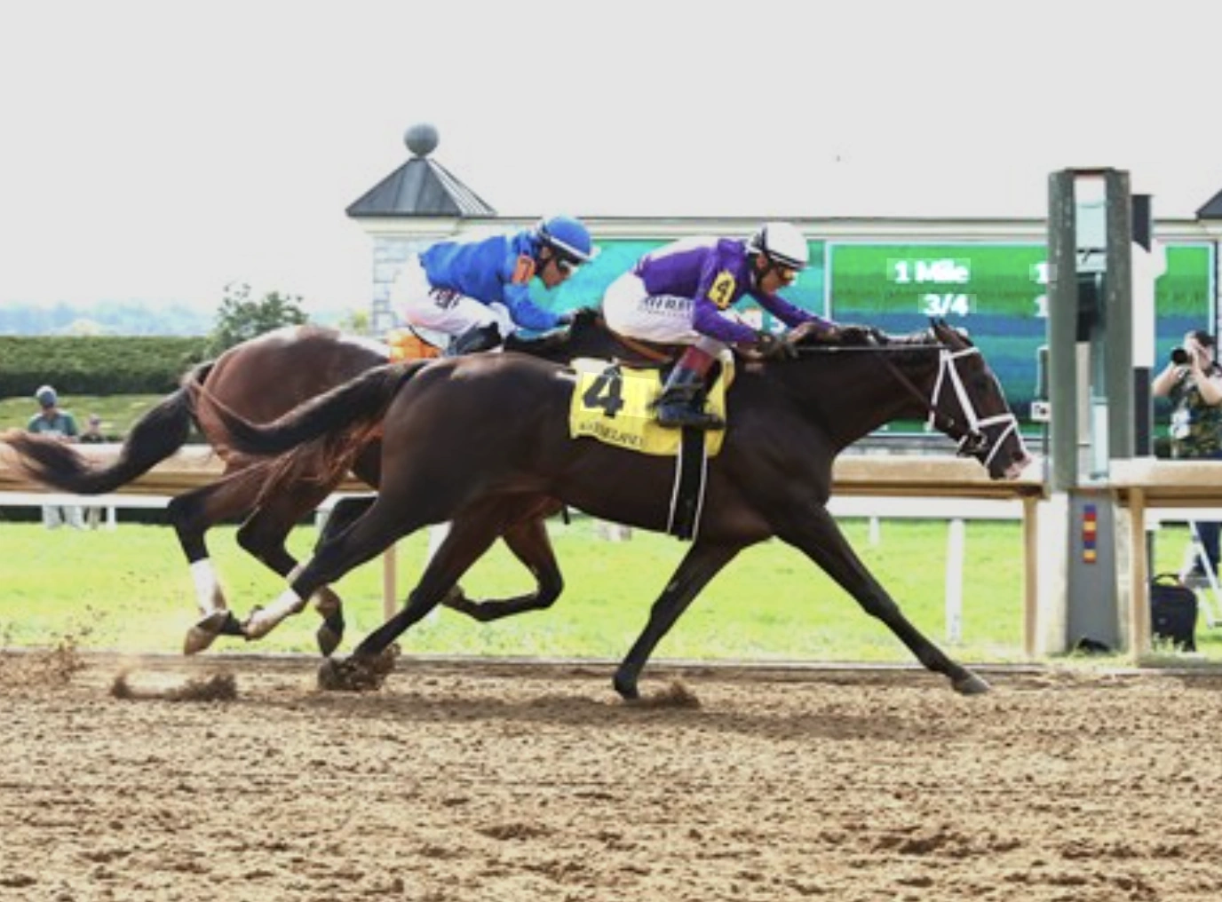 Sensational Saudi Cup: Forever Young Edges Romantic Warrior