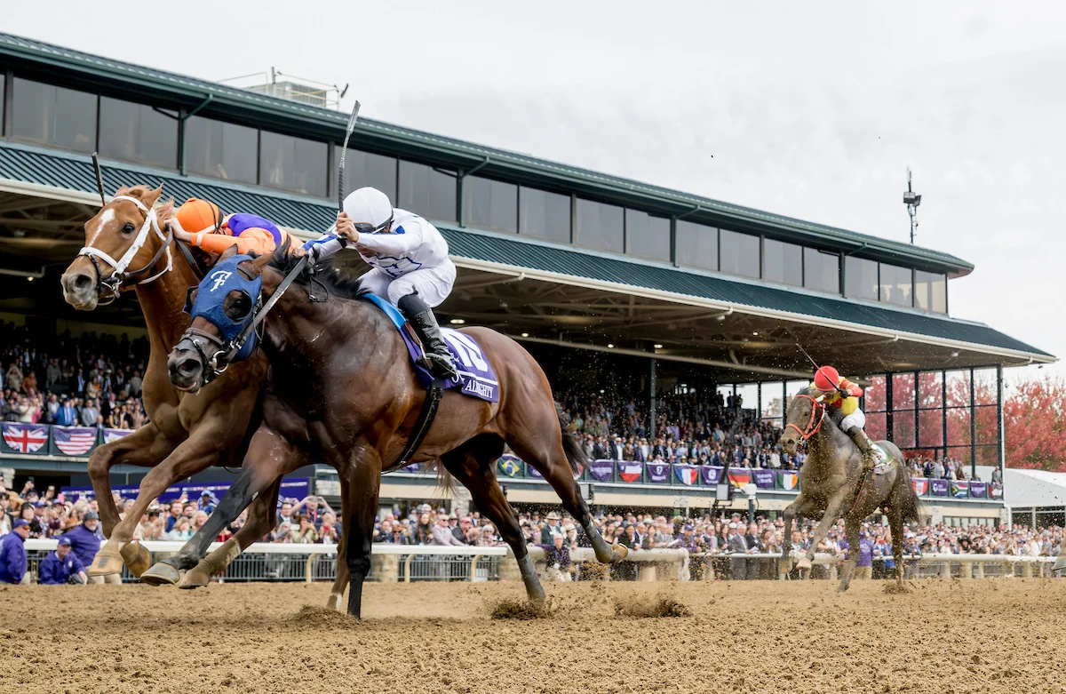 Sensational Saudi Cup: Forever Young Edges Romantic Warrior