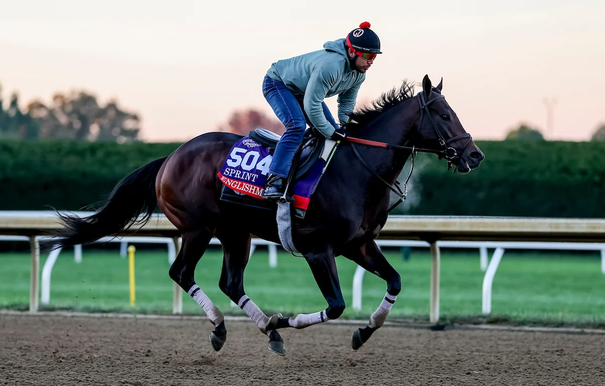 Sensational Saudi Cup: Forever Young Edges Romantic Warrior