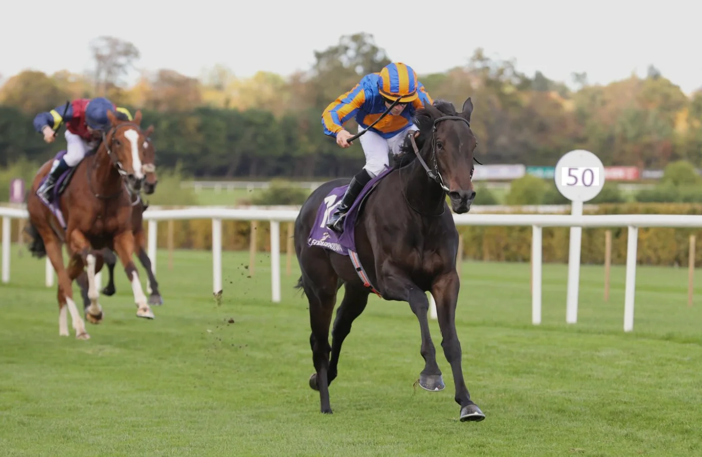 Sensational Saudi Cup: Forever Young Edges Romantic Warrior