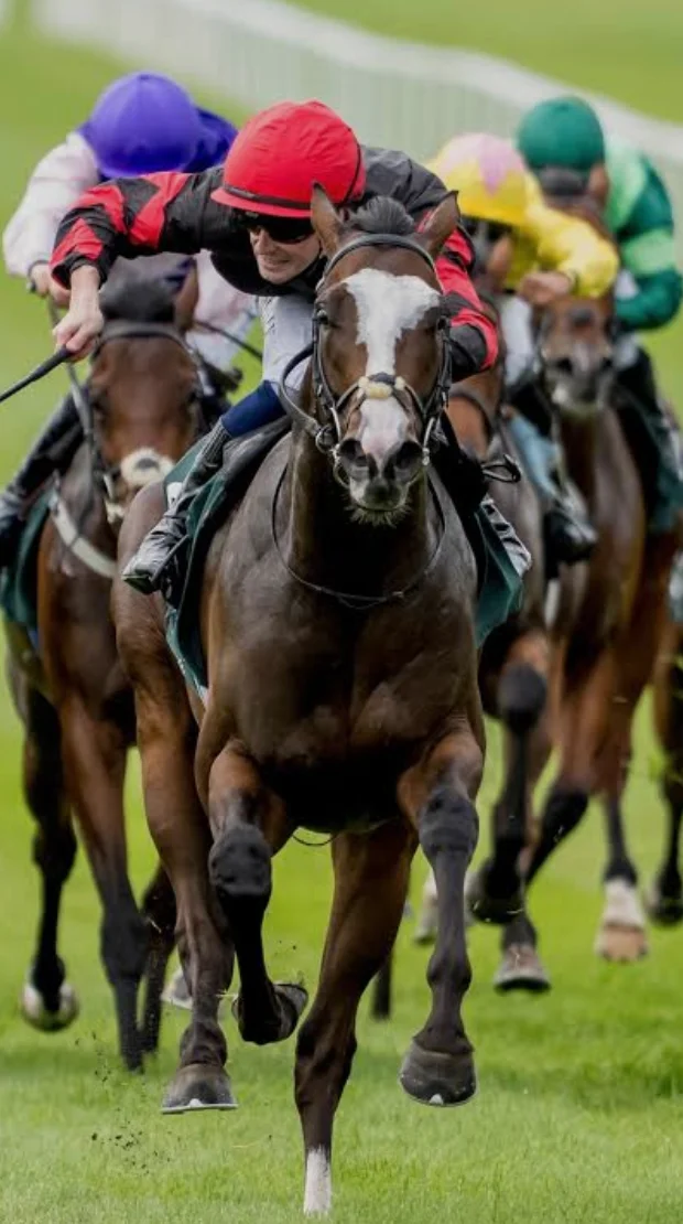Sensational Saudi Cup: Forever Young Edges Romantic Warrior