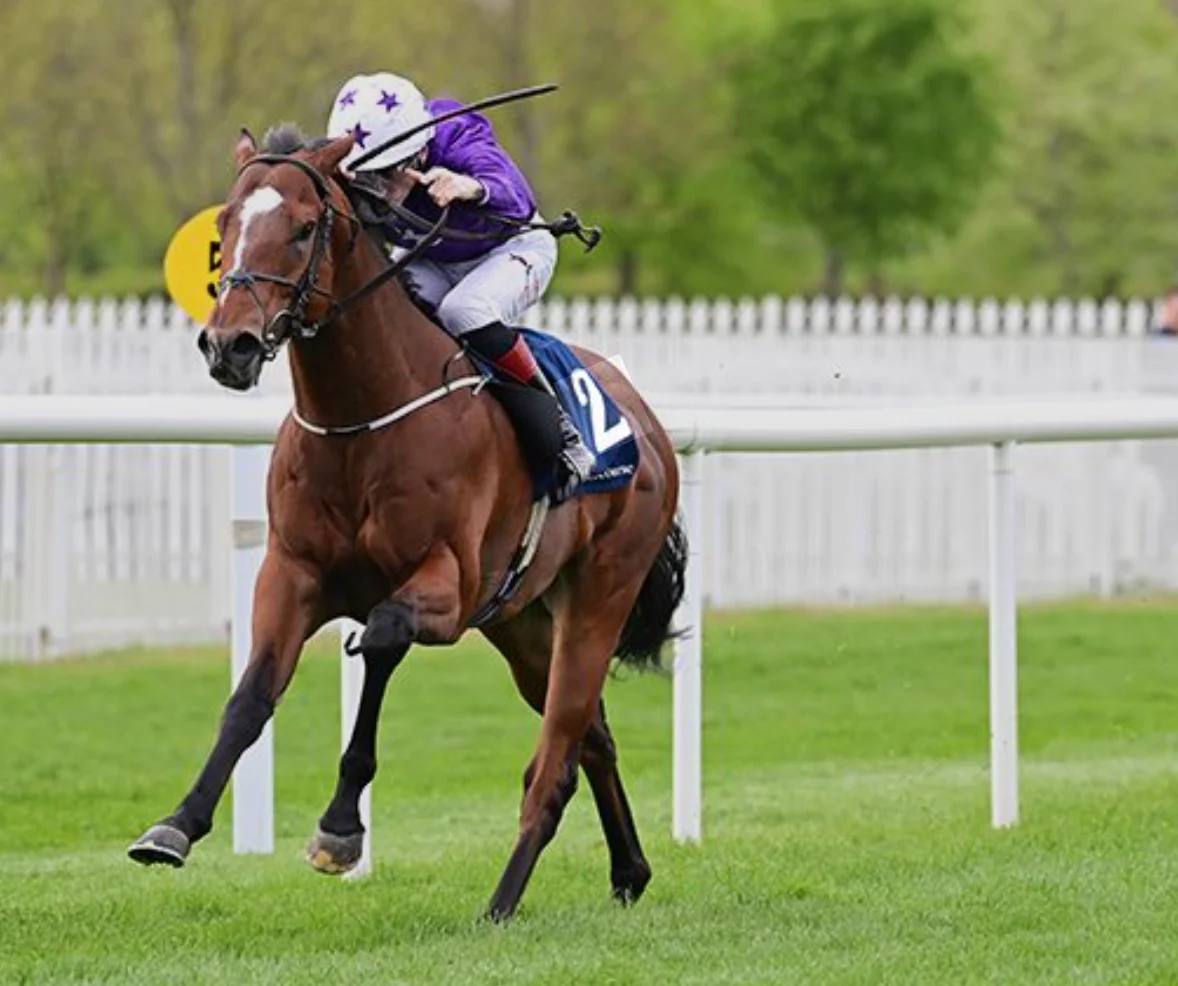 Sensational Saudi Cup: Forever Young Edges Romantic Warrior