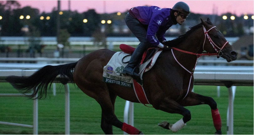Sensational Saudi Cup: Forever Young Edges Romantic Warrior