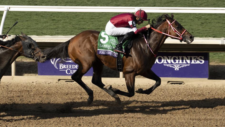 Sensational Saudi Cup: Forever Young Edges Romantic Warrior