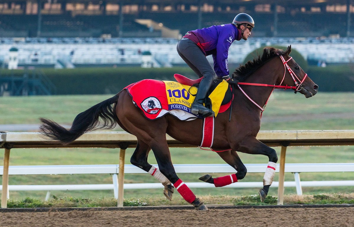 Sensational Saudi Cup: Forever Young Edges Romantic Warrior