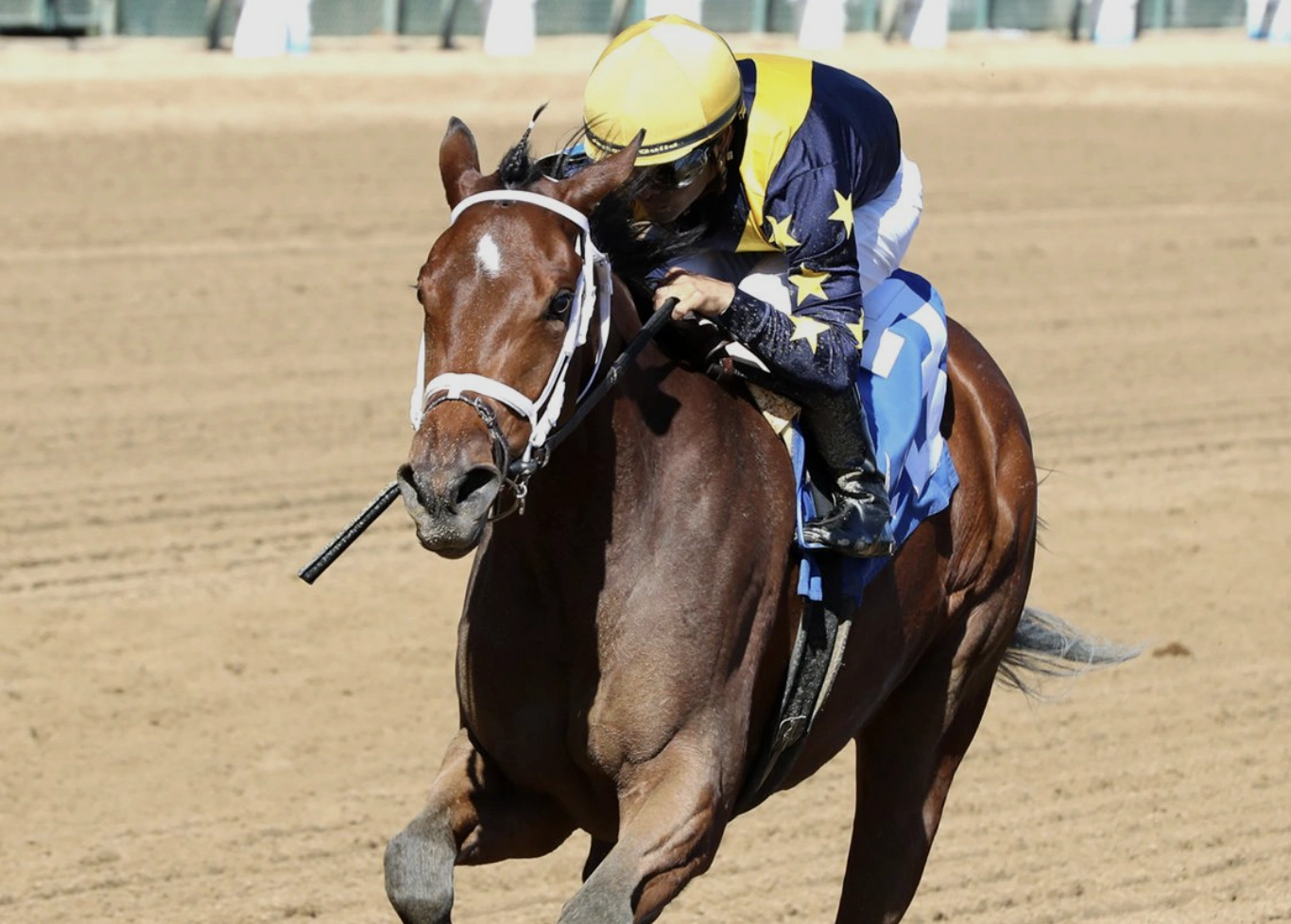 Sensational Saudi Cup: Forever Young Edges Romantic Warrior