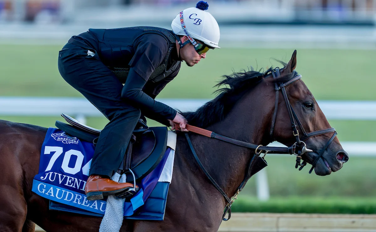 Sensational Saudi Cup: Forever Young Edges Romantic Warrior