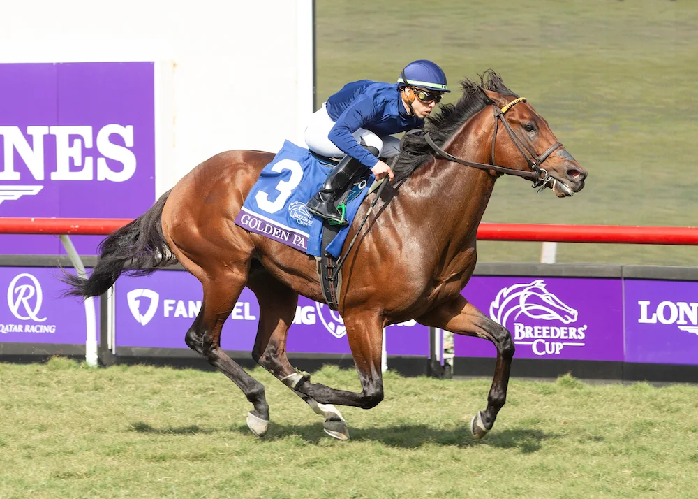 Sensational Saudi Cup: Forever Young Edges Romantic Warrior