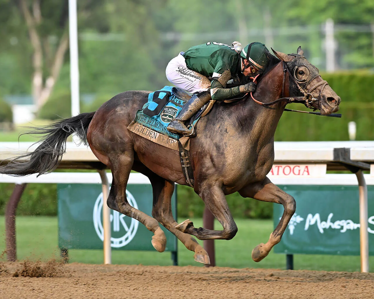 Sensational Saudi Cup: Forever Young Edges Romantic Warrior