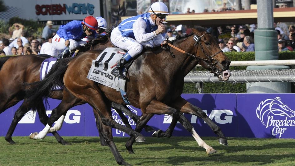 Sensational Saudi Cup: Forever Young Edges Romantic Warrior