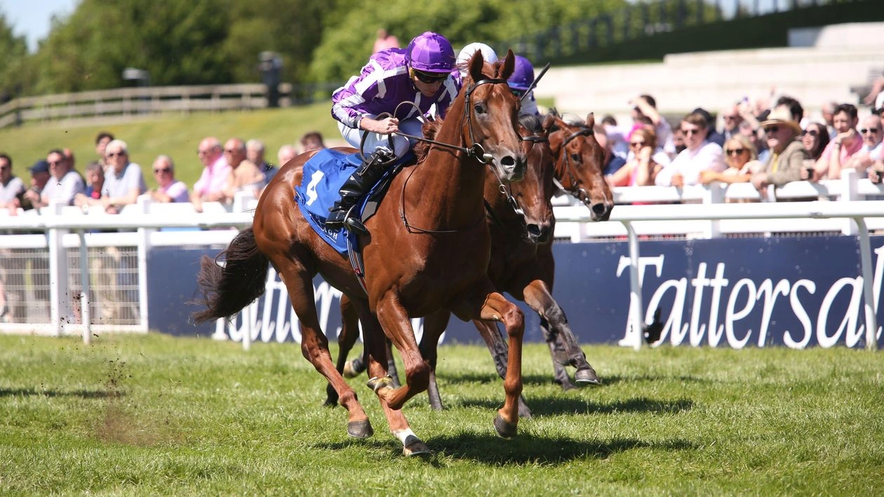 Sensational Saudi Cup: Forever Young Edges Romantic Warrior