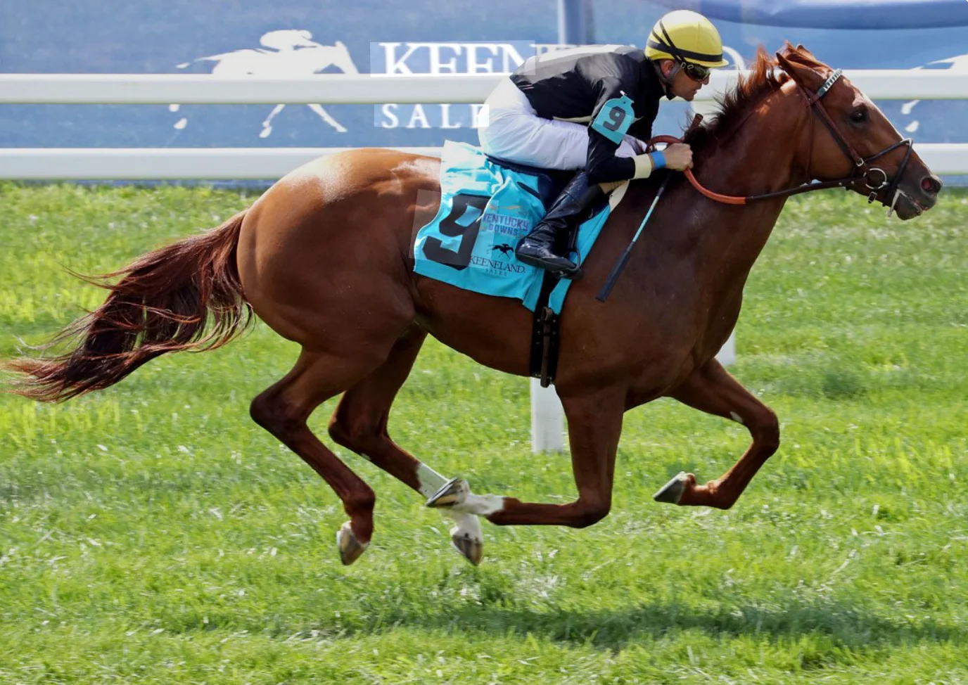 Sensational Saudi Cup: Forever Young Edges Romantic Warrior