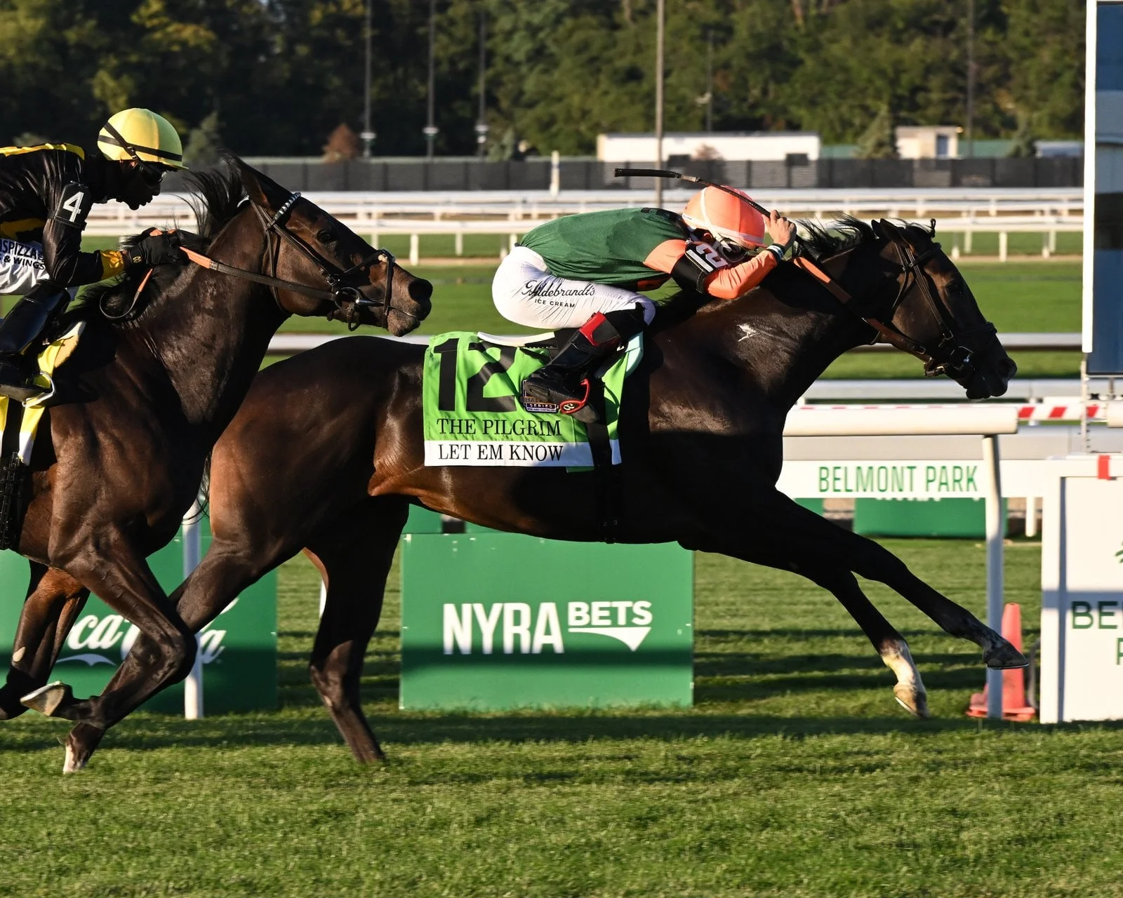 Sensational Saudi Cup: Forever Young Edges Romantic Warrior