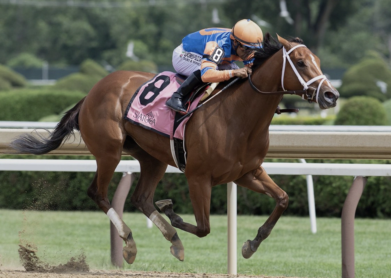 Sensational Saudi Cup: Forever Young Edges Romantic Warrior