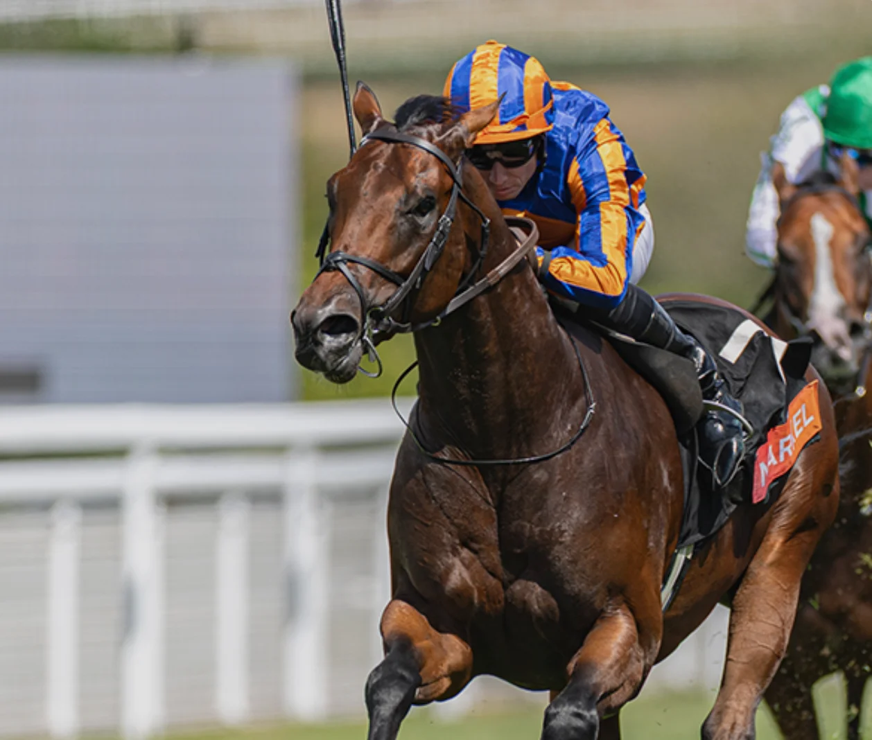 Sensational Saudi Cup: Forever Young Edges Romantic Warrior