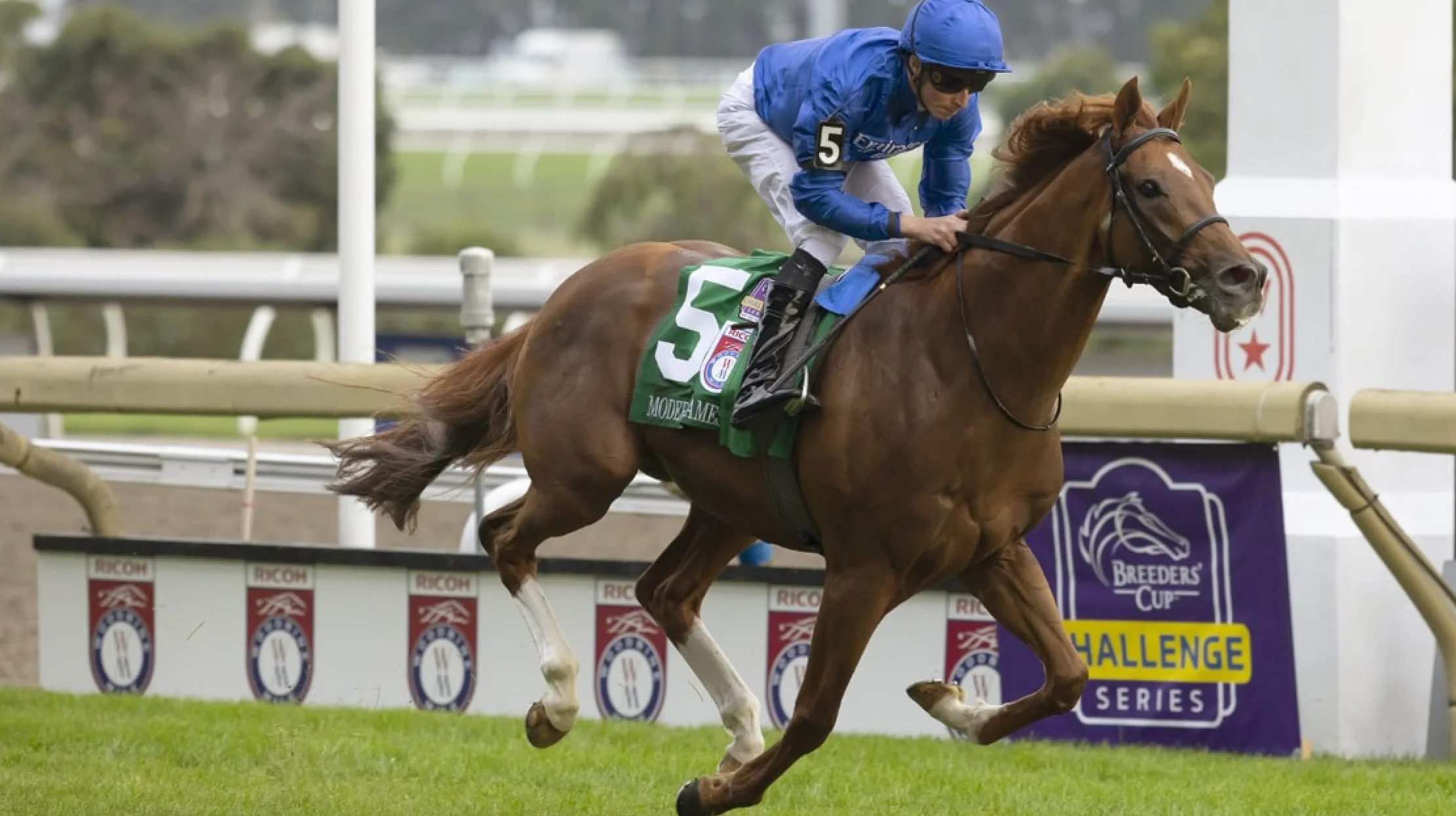 Sensational Saudi Cup: Forever Young Edges Romantic Warrior