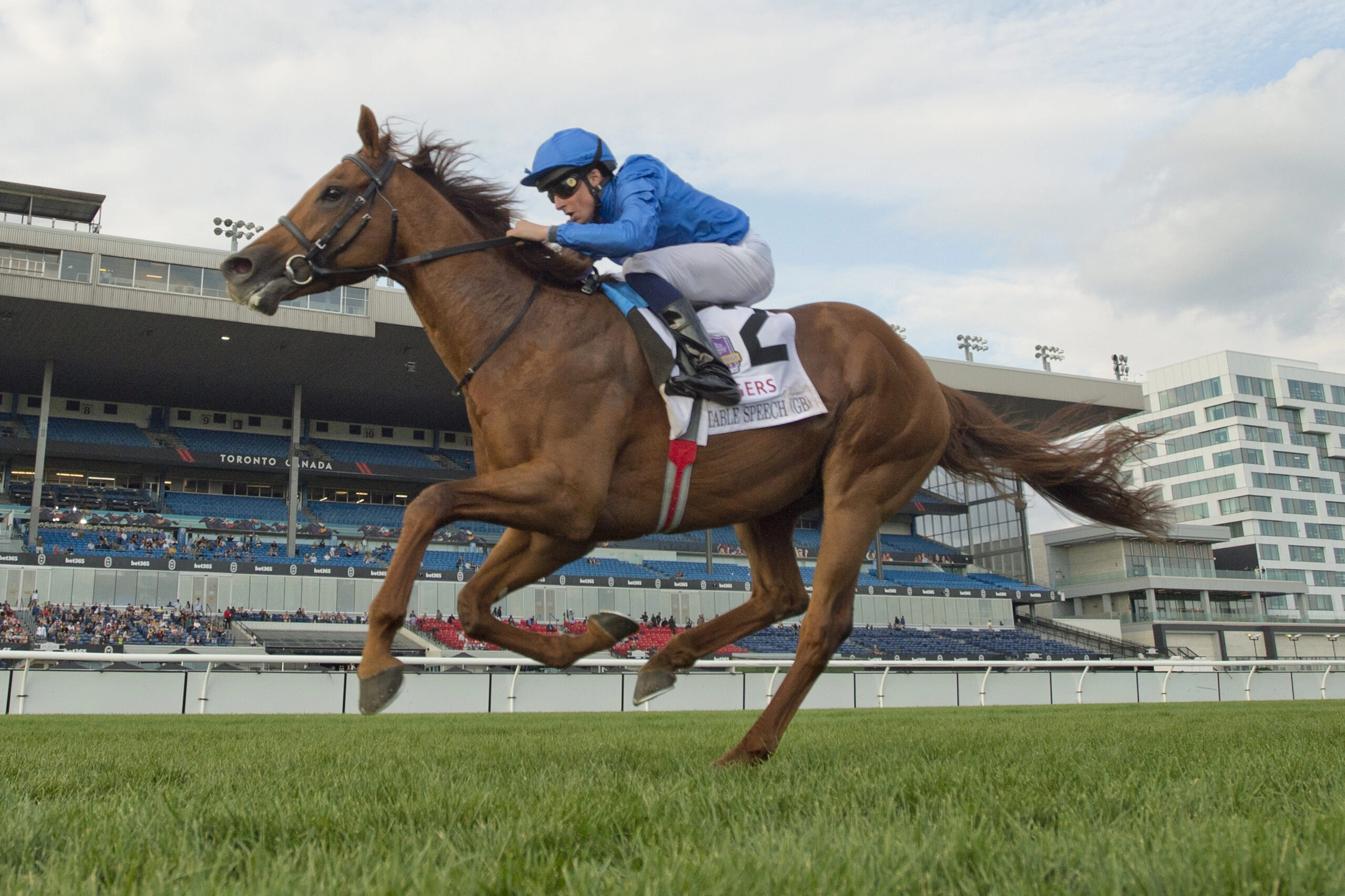 Sensational Saudi Cup: Forever Young Edges Romantic Warrior