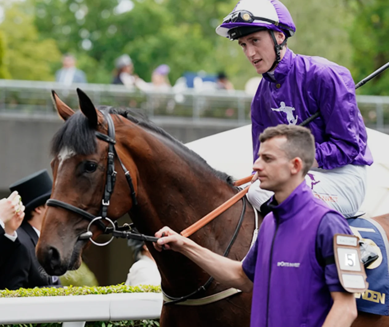 Sensational Saudi Cup: Forever Young Edges Romantic Warrior