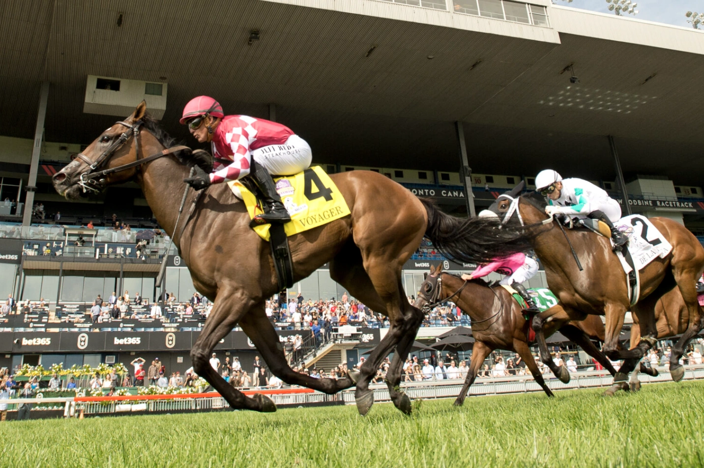 Sensational Saudi Cup: Forever Young Edges Romantic Warrior