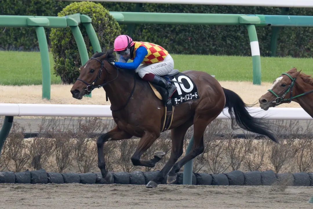 Sensational Saudi Cup: Forever Young Edges Romantic Warrior