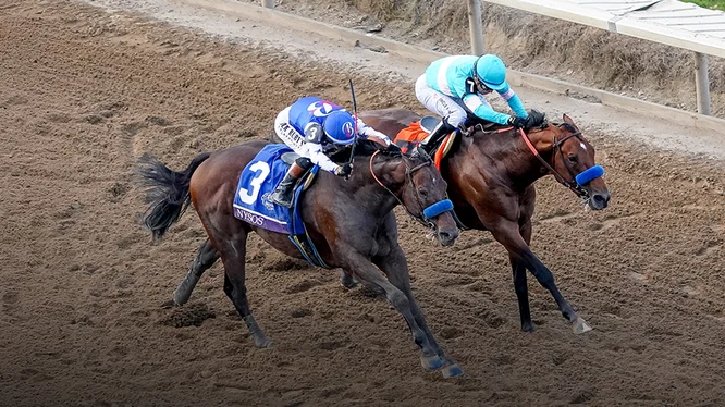 Sensational Saudi Cup: Forever Young Edges Romantic Warrior