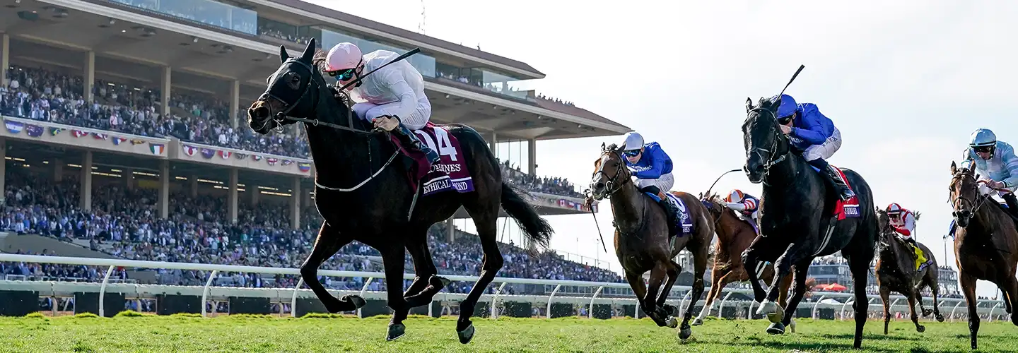 Sensational Saudi Cup: Forever Young Edges Romantic Warrior