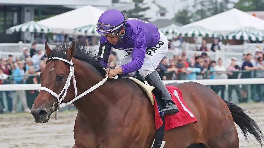 Sensational Saudi Cup: Forever Young Edges Romantic Warrior