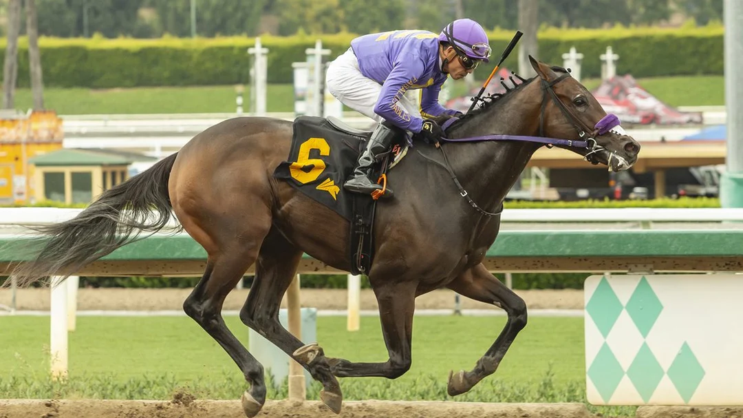 Sensational Saudi Cup: Forever Young Edges Romantic Warrior