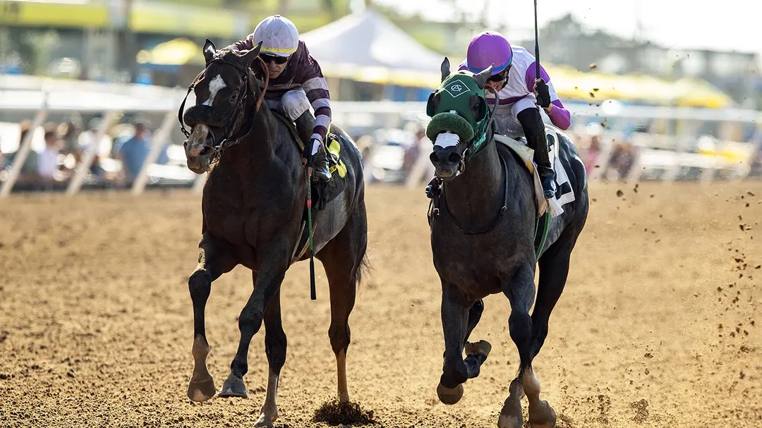 Sensational Saudi Cup: Forever Young Edges Romantic Warrior