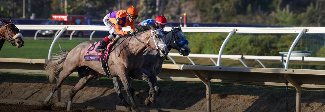 Sensational Saudi Cup: Forever Young Edges Romantic Warrior